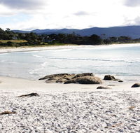 Mermaids of Bicheno - Accommodation Nelson Bay
