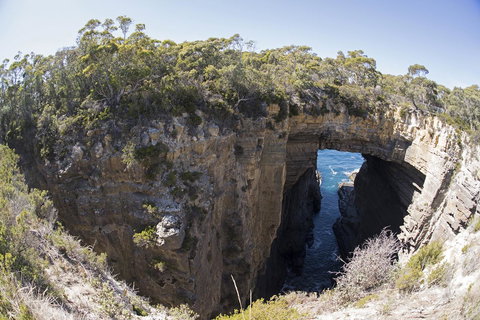 Eaglehawk Pavilions - Accommodation Nelson Bay 34