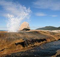 Suntrap Cove Bicheno - Accommodation Nelson Bay