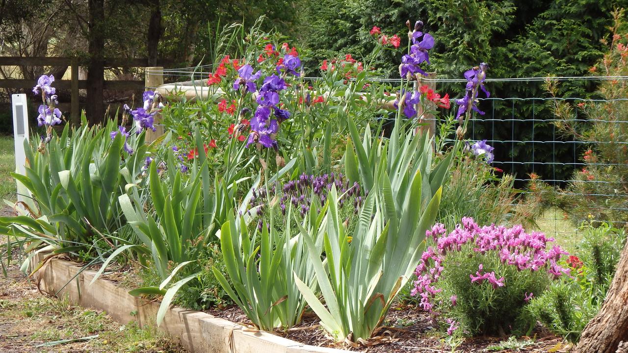  Accommodation Nelson Bay