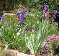 Karoola Cottage Self Contained - Accommodation Nelson Bay