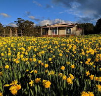 Mountain Blue Guest House - Accommodation Nelson Bay