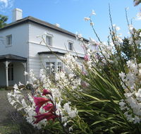 The Grove Cottages - Accommodation Nelson Bay