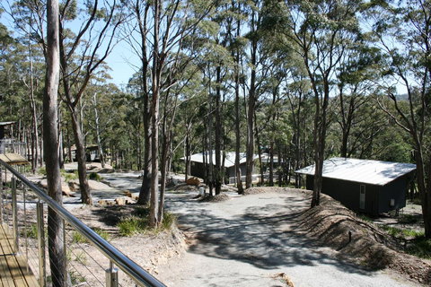 Craggy Peaks Wilderness Cabins - Accommodation Nelson Bay 22