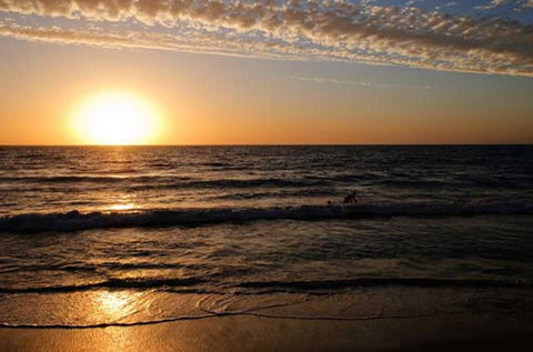 Ocean View Motel - Nelsons Bay Accommodation 0
