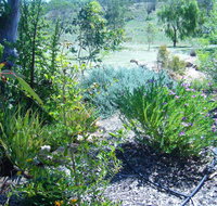 Old Miners' Cottages Bed and Breakfast - Accommodation Nelson Bay