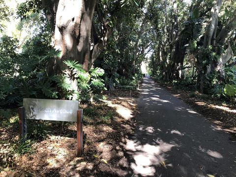 One Bedroom Cottage Close To Adelaide CBD - Accommodation Nelson Bay 3