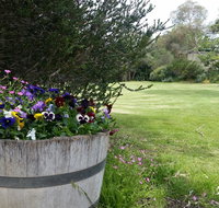 Padthaway Caravan Park - Accommodation Nelson Bay