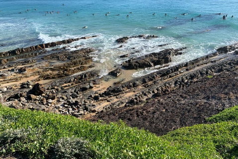 Pandanus - Nelsons Bay Accommodation 1