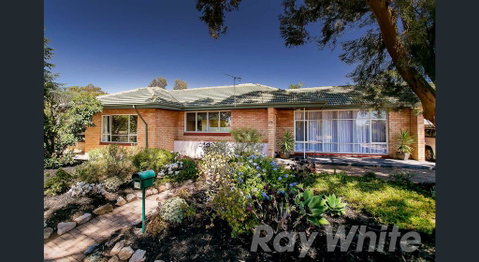 Pasadena Quinlan - Nelsons Bay Accommodation 0
