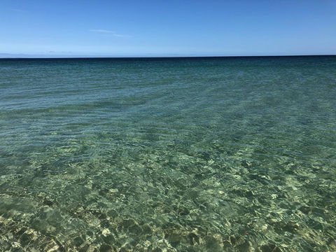 Peppermint Grove Beach Holiday Park - Accommodation Nelson Bay 3