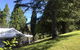 Pine Hill Cottage Acreage In Nature Trees Views Mid Katoomba Leura - thumb 1