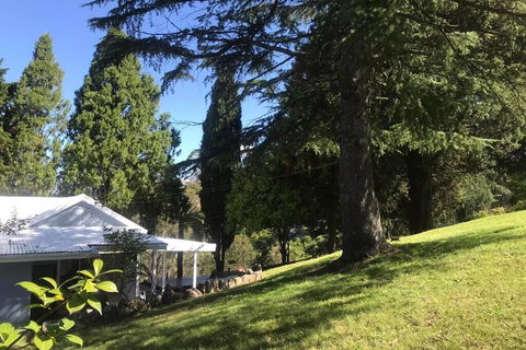 Pine Hill Cottage Acreage In Nature Trees Views Mid Katoomba Leura - Nelson Bay Accommodation.com 1