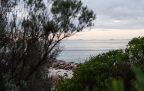 Polperro, A Quintessential Seaside Experience - Nelsons Bay Accommodation 1