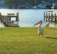 Riverfront Getaway - Mannum - Accommodation Nelson Bay