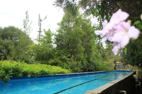 Rosebank Homestead And Farmstay - Accommodation Nelson Bay 3