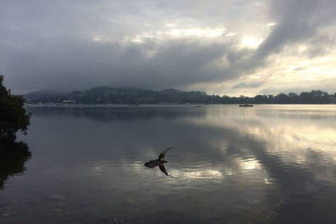 Salty Kisses Holiday House - Accommodation Nelson Bay 2