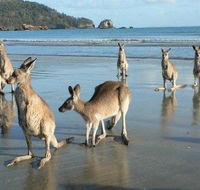 Seaforth Holiday Units - Accommodation Nelson Bay