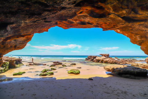 Seaside Escape - Accommodation Nelson Bay 2