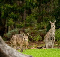 Secura Lifestyle Countryside Kalaru - Accommodation Nelson Bay