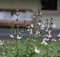 Serendipity on Allyn - Accommodation Nelson Bay