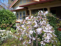 Book Katoomba Accommodation Vacations Accommodation Nelson Bay Accommodation Nelson Bay