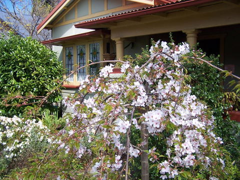 Shelton-Lea Bed & Breakfast - Accommodation Nelson Bay 0