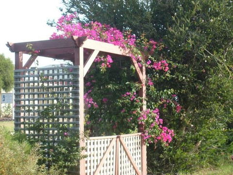 Southern Vales Bed & Breakfast - Accommodation Nelson Bay 3