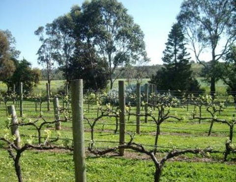 Southern Vales Bed & Breakfast - Accommodation Nelson Bay 1