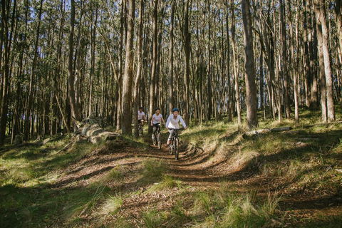 Spicers Peak Lodge - Accommodation Nelson Bay 3