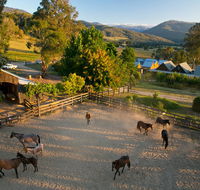 Spring Spur - Accommodation Nelson Bay