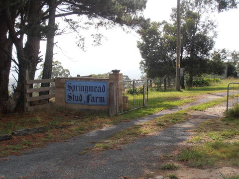 Springmead B&B - Accommodation Nelson Bay 2