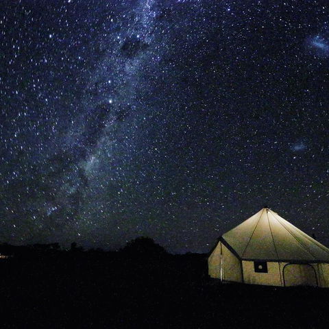 Starfields Luxury Camping - Accommodation Nelson Bay 3