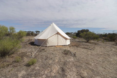 Starfields Luxury Camping - Accommodation Nelson Bay 1