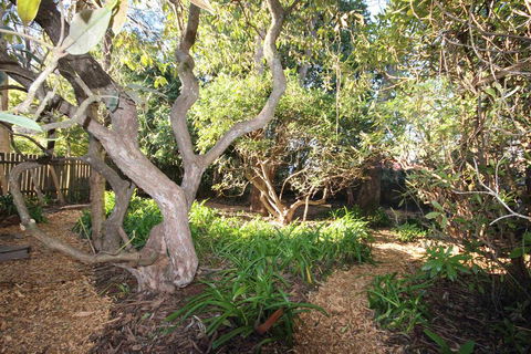 Stonewall Cottage And Studio - Accommodation Nelson Bay 2