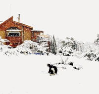 STUNNING HOME WITH AMAZING VIEWS - just 20 mins to the city and only 10 to MONA - Accommodation Nelson Bay