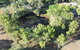 Territory Manor Motel & Caravan Park - thumb 3