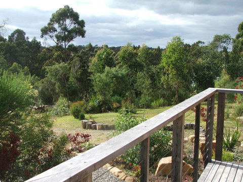 Southern Forest Accommodation - Accommodation Nelson Bay 21