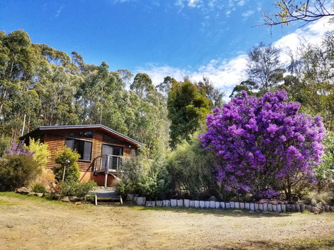 Southern Forest Accommodation - Accommodation Nelson Bay 10