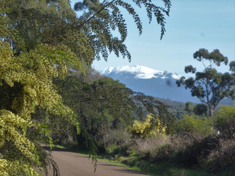 Southern Forest Accommodation - Accommodation Nelson Bay 24