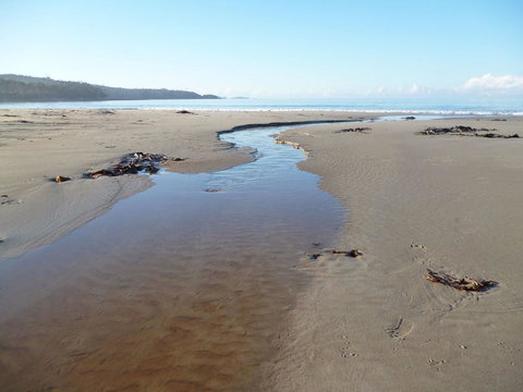 Southern Forest Accommodation - Accommodation Nelson Bay 28