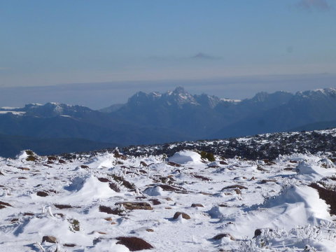 Southern Forest Accommodation - Accommodation Nelson Bay 29