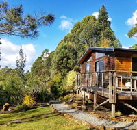 Southern Forest Accommodation - Accommodation Nelson Bay
