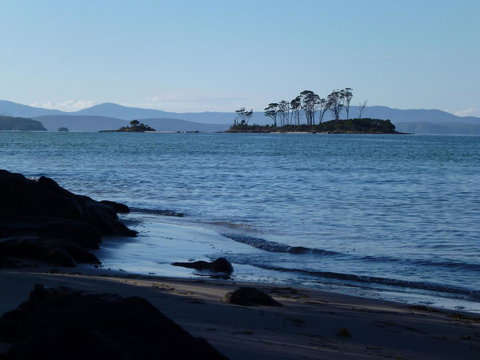 Southern Forest Accommodation - Accommodation Nelson Bay 26