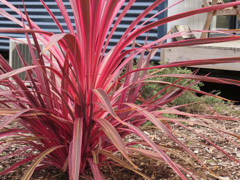 Captain Cook Holiday Park - Accommodation Nelson Bay 15