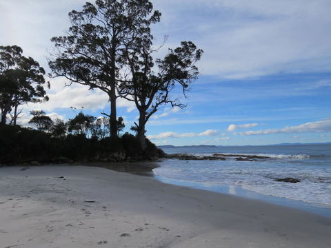 Captain Cook Holiday Park - Accommodation Nelson Bay 9