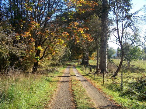 Drumreagh Cabins - Accommodation Nelson Bay 6