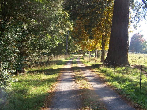 Drumreagh Cabins - Accommodation Nelson Bay 5