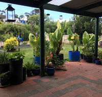 Blue Wren Bungalow - Accommodation Nelson Bay
