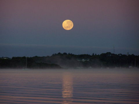 Regatta Point Tavern & Holiday Villas - Accommodation Nelson Bay 39